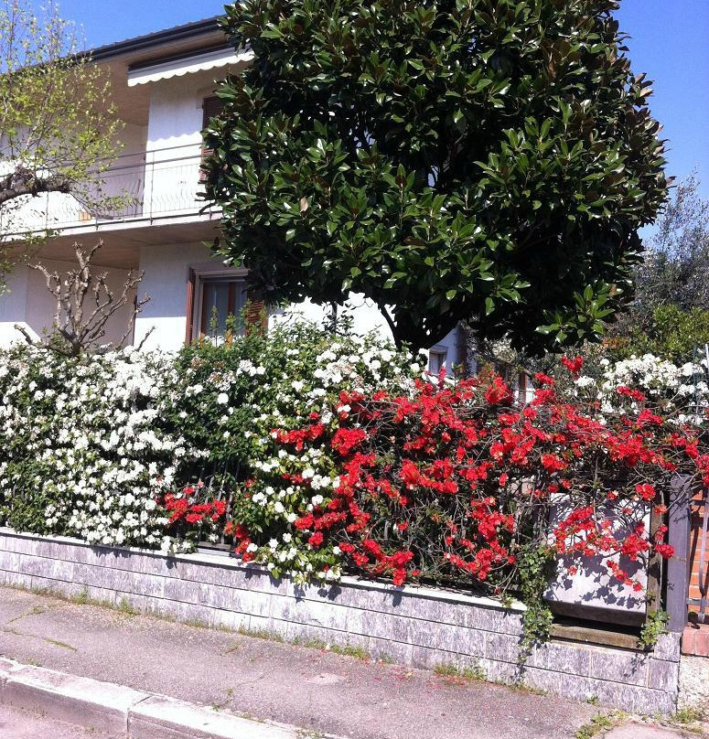 La Magnolia Cesena B&B主图