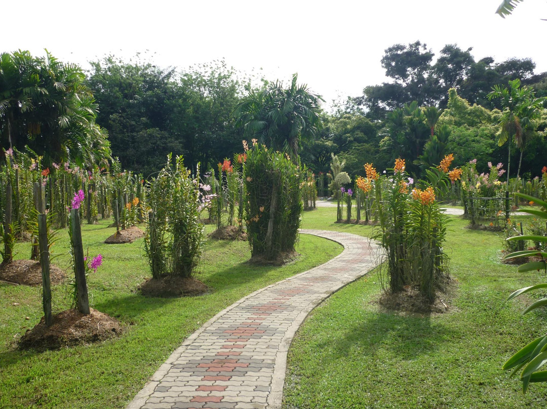 Sabah Agricultural Park-丹南必去景点
