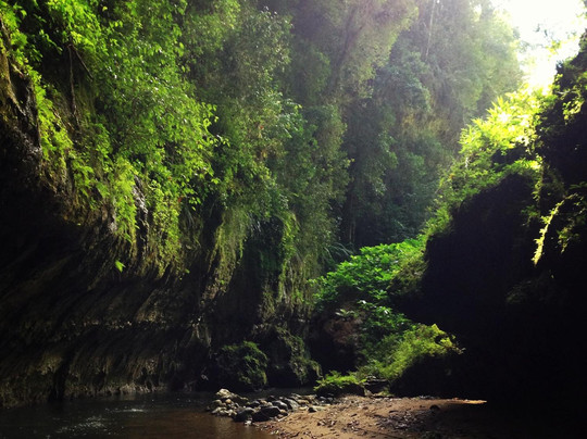Ruta Nativa-圣胡安必去景点