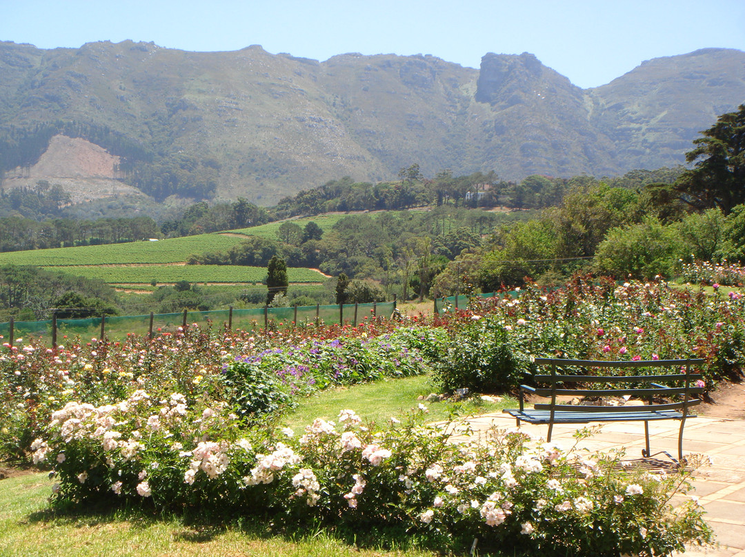 Chart Farm-开普敦中心区必去景点