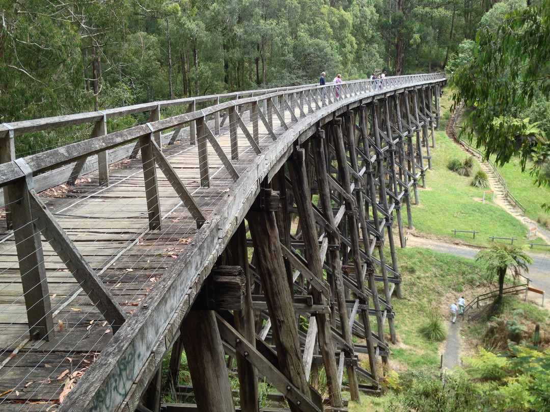 Noojee Trestle Bridge景点图片