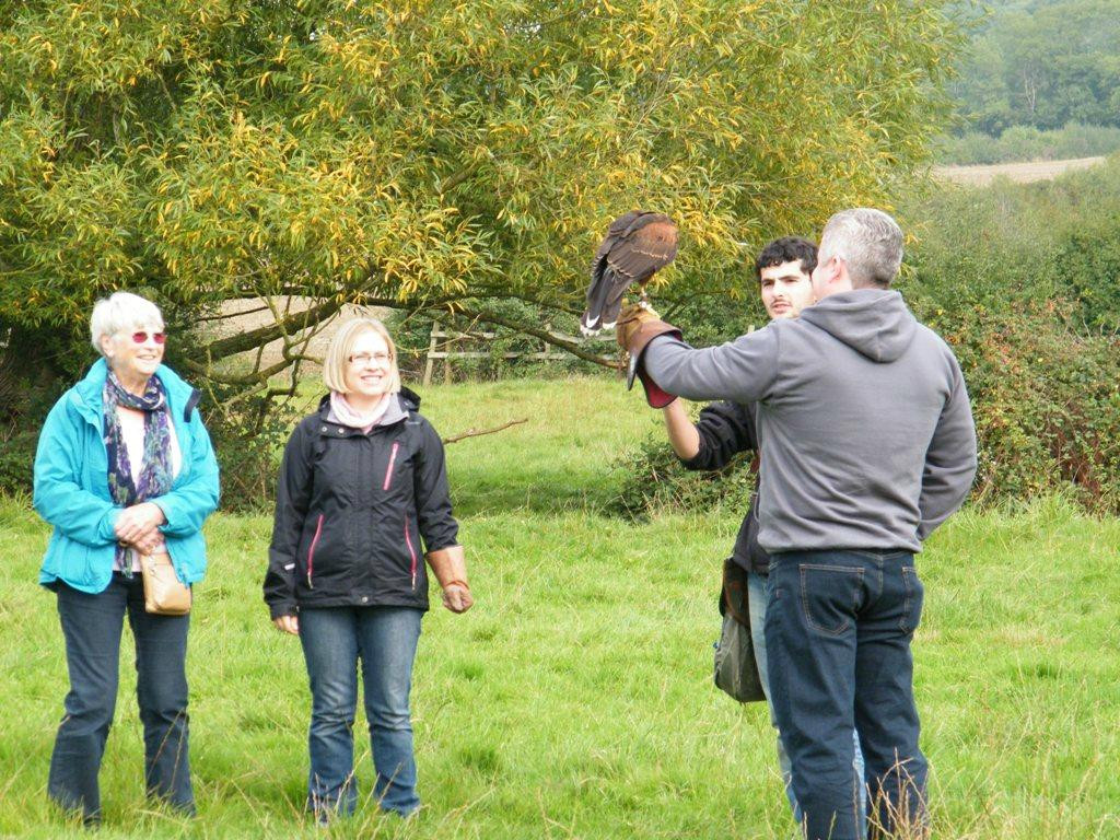 Ben Long Falconry Courses and Experience Days-Quedgeley必去景点