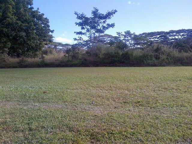 Kahili Mountain Park主图