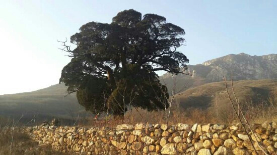 嵩山-登封市必去景点