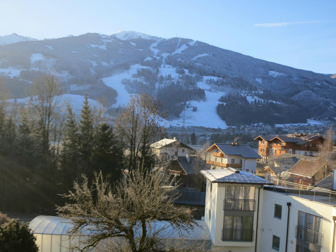 Haus im Ennstal酒店住宿-Hotel Hartweger