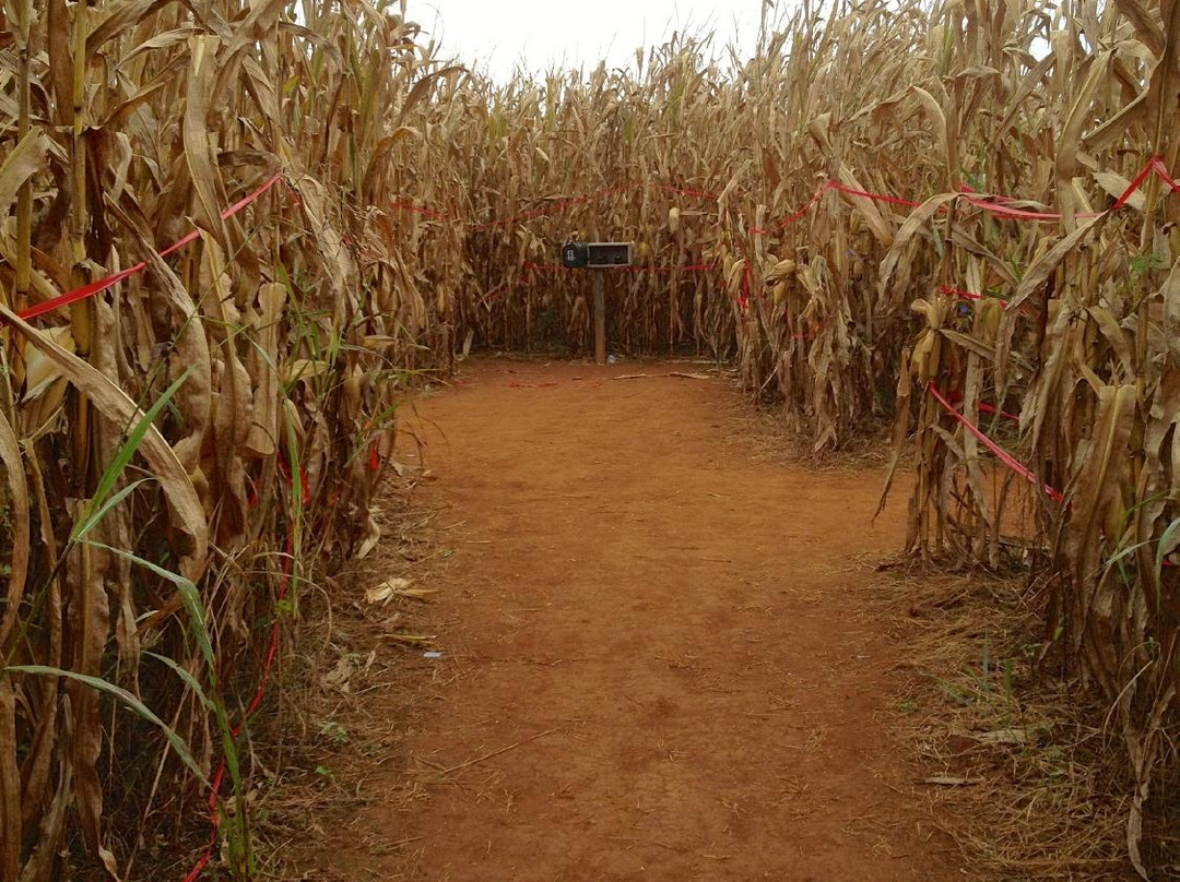 Historic Rural Hill Farm-亨特斯维尔必去景点