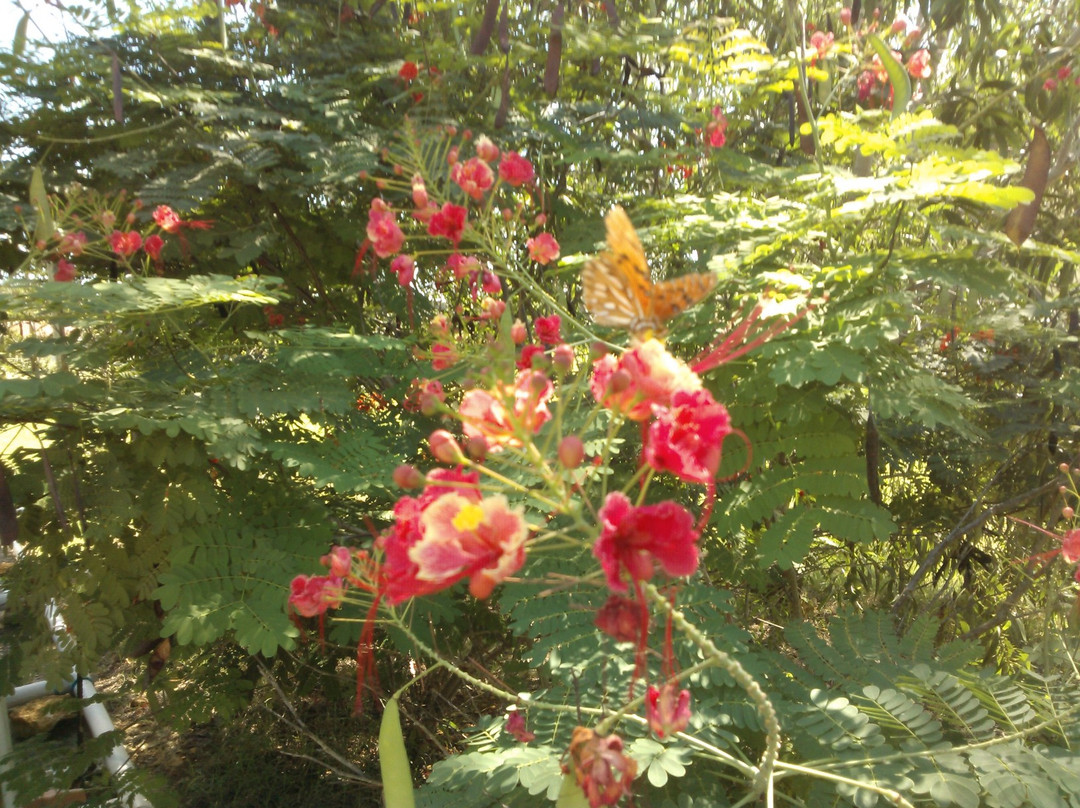 Two Seasons Guest House主图