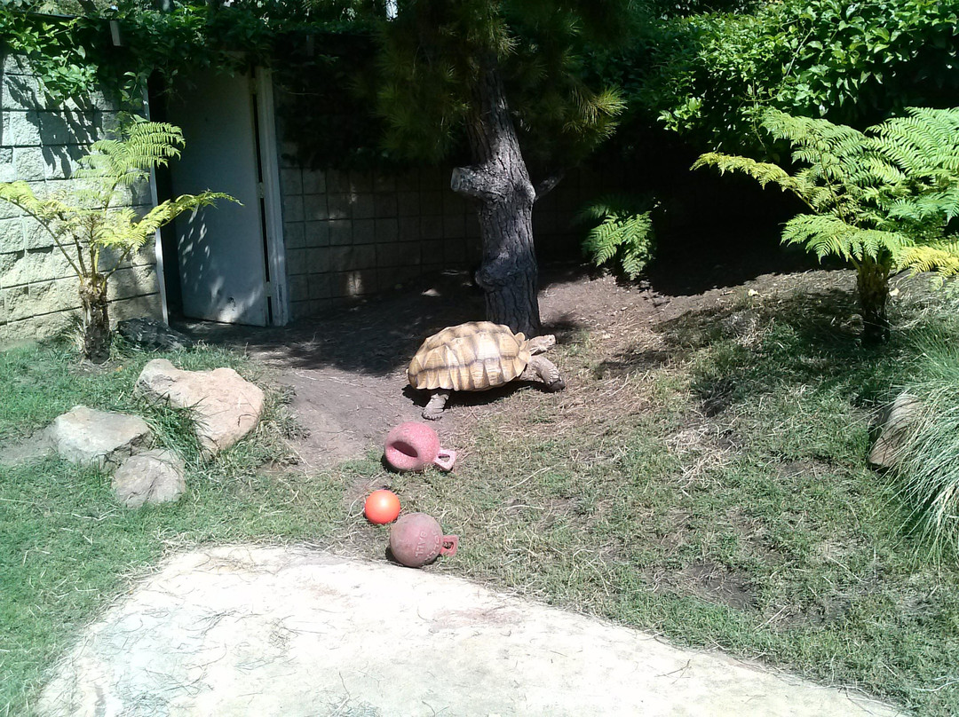 Palo Alto Junior Museum & Zoo-帕罗奥多必去景点