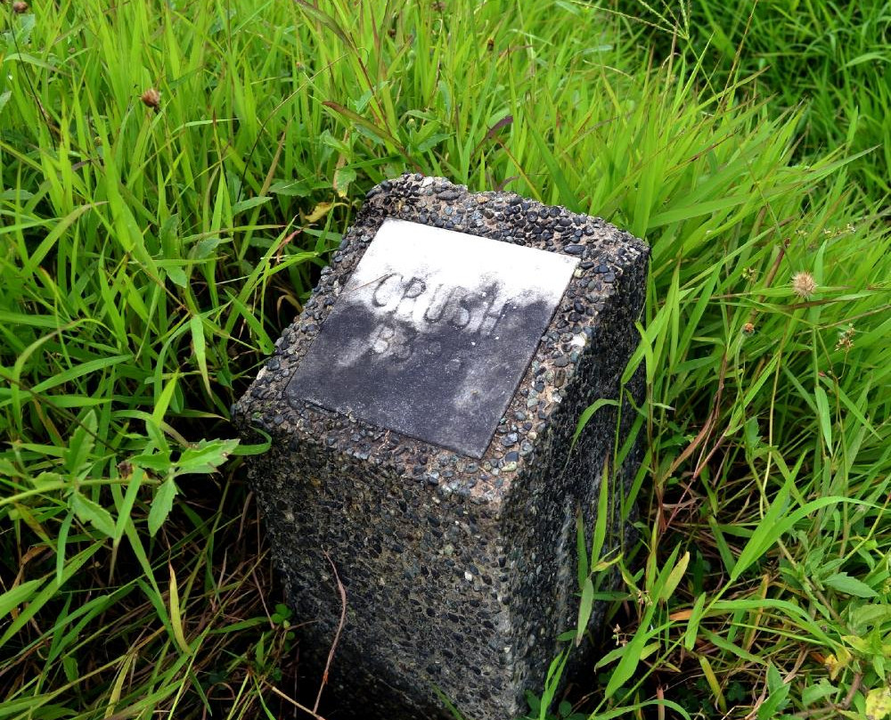 K-9 Cemetery / Military Working Dogs Cemetery景点图片