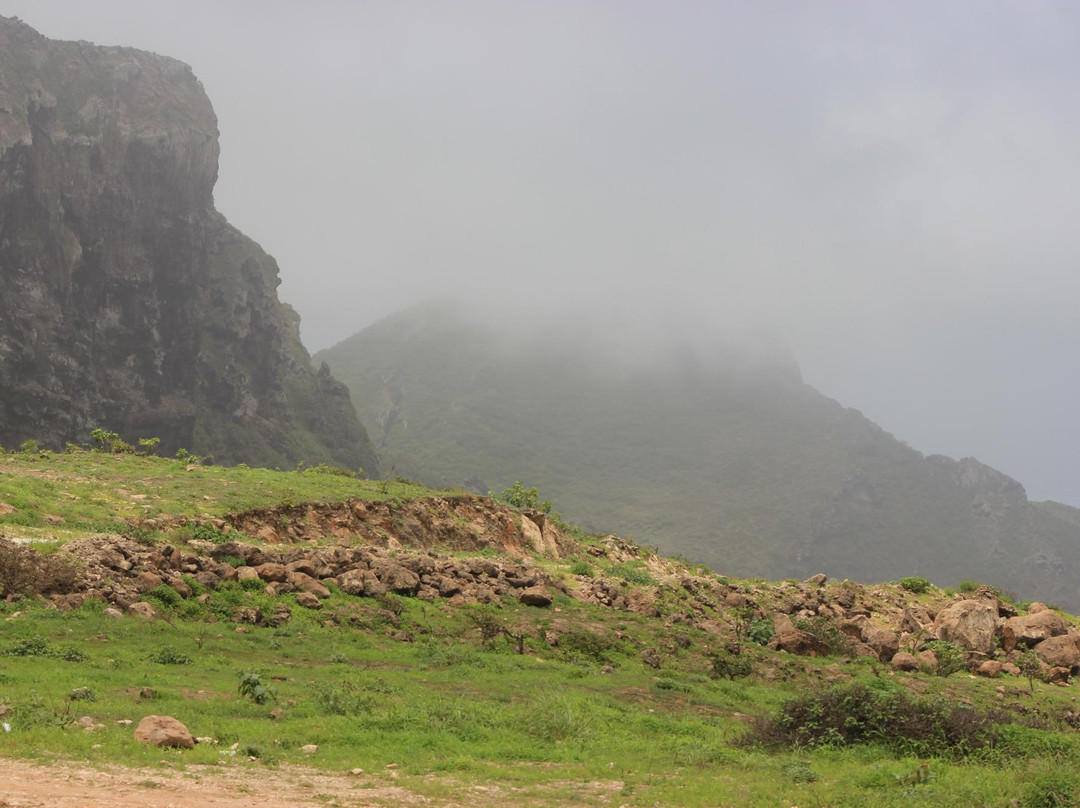 Best Shore Trips Salalah-塞拉莱必去景点