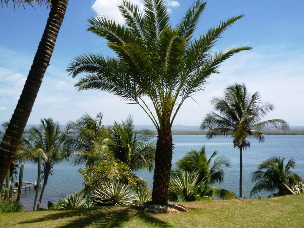 Quinta-Palomar主图