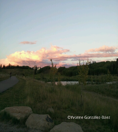 省立鱼溪公园-卡尔加里必去景点