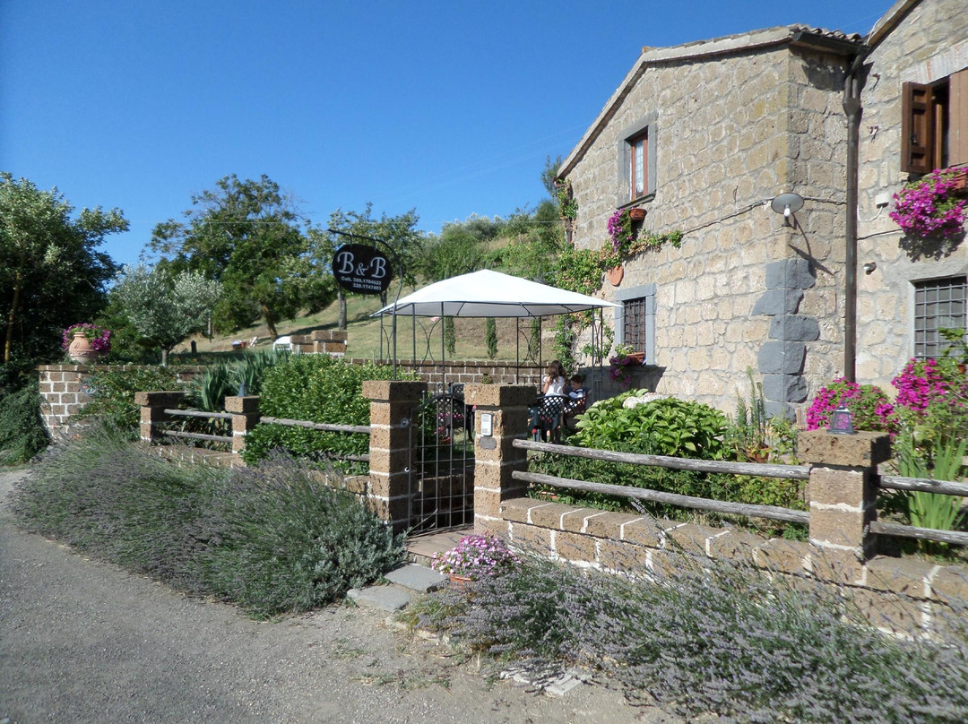 Porano酒店住宿-Il Vecchio Ulivo