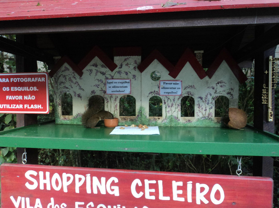 Shopping Center Celeiro-蒙特贝尔德必去景点