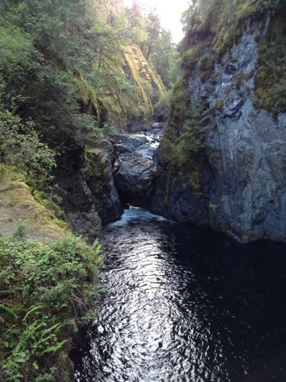 Englishman River Falls Provincial Park景点图片