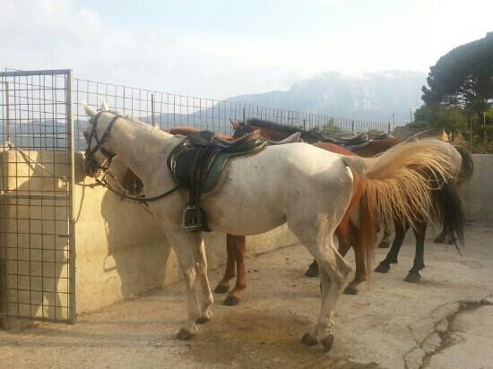 Godrano旅游攻略图片