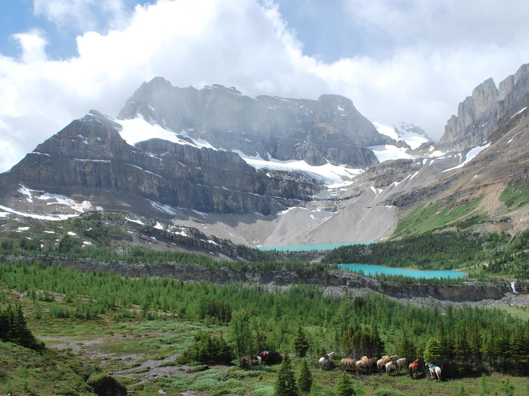 Timberline Tours Ltd. - Private Day Tours-路易斯湖必去景点