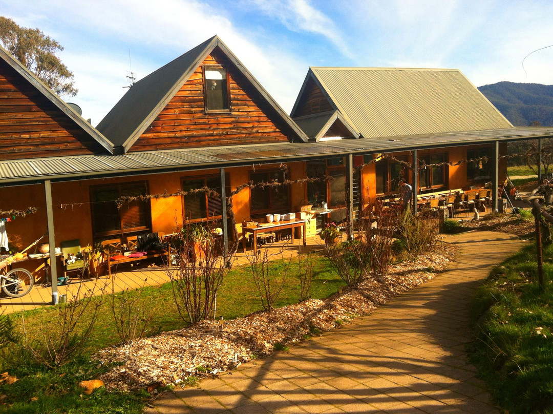 Bogong Horseback Adventures景点图片
