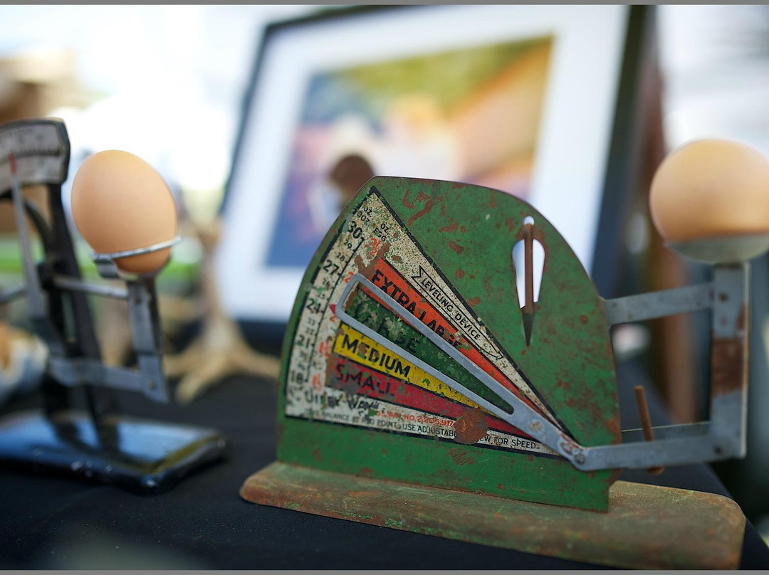 Leucadia Farmers Market-恩西尼塔斯必去景点