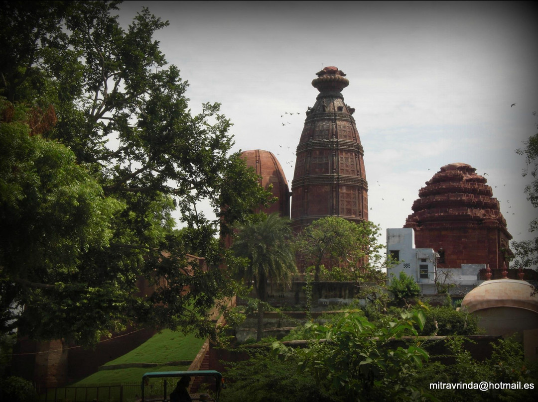 Shri Radha Madan Mohan Ji Temple景点图片