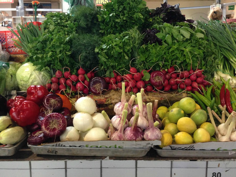 SPB Tours-圣彼得堡必去景点