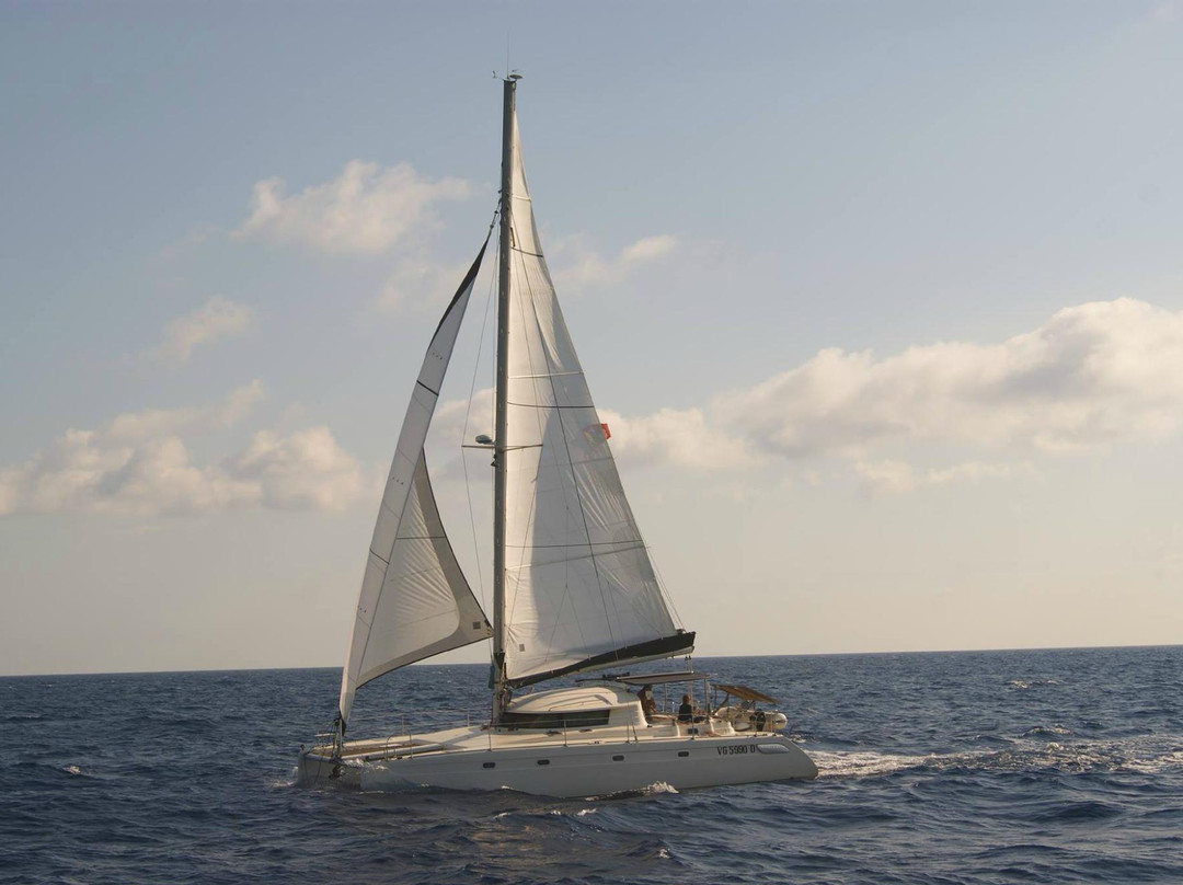 Catamarano Alien Boat Tours-特拉帕尼省必去景点