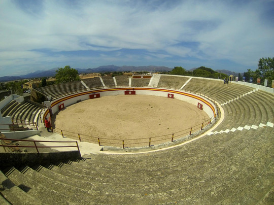 Alcudia Xperience Bus-阿尔库迪亚港必去景点