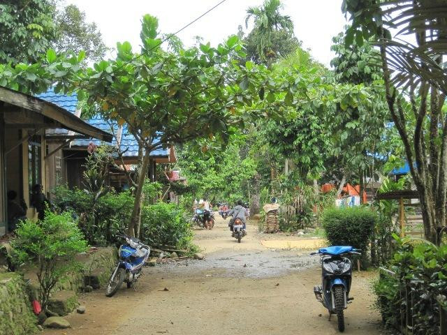 Wismar Loksado主图