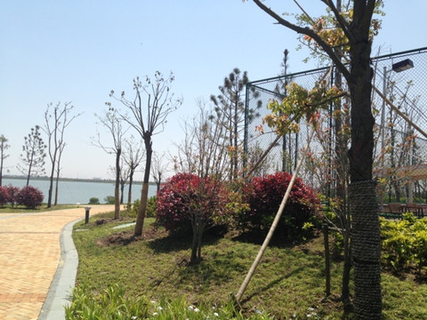 滴水湖-上海市必去景点