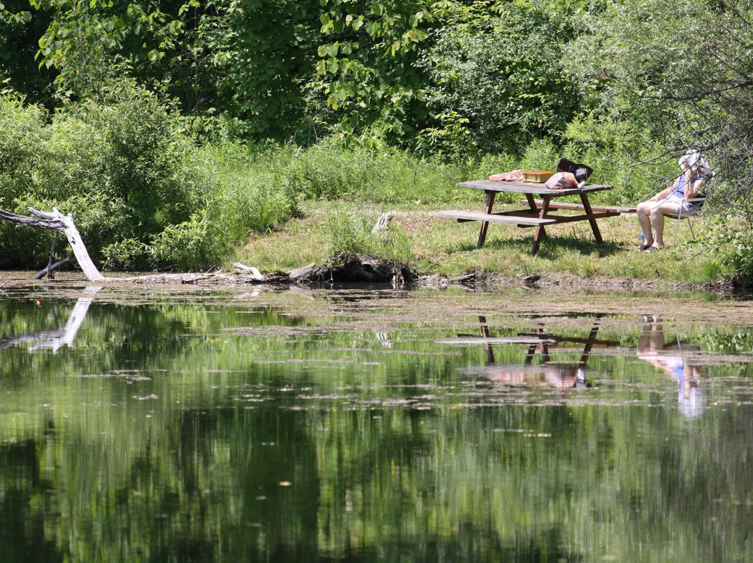 Terra Cotta Conservation Area-霍尔藤山市必去景点