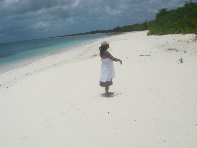 Low Bay-巴布达必去景点