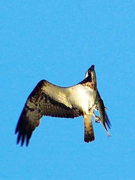 Nature Miraikan主图