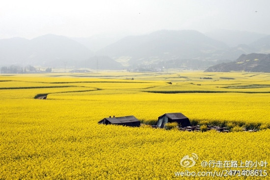 金鸡峰林-罗平县必去景点