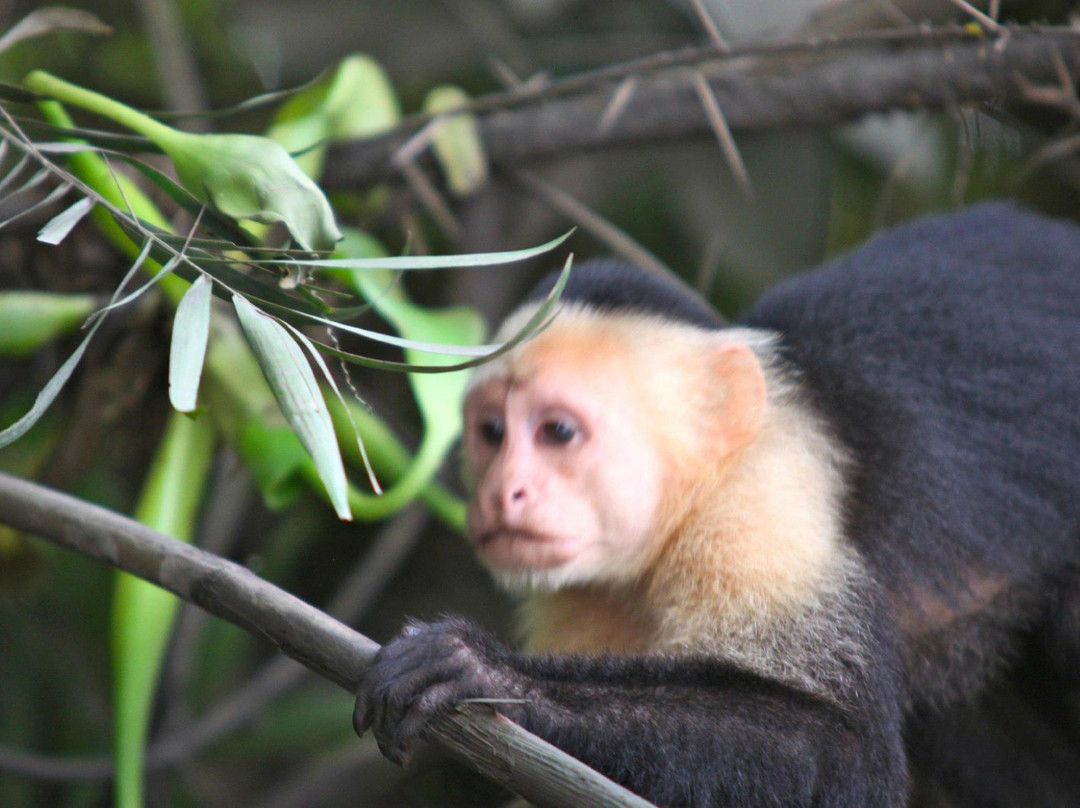 Costa Rica EZ Travel Adventures-Playa Flamingo必去景点