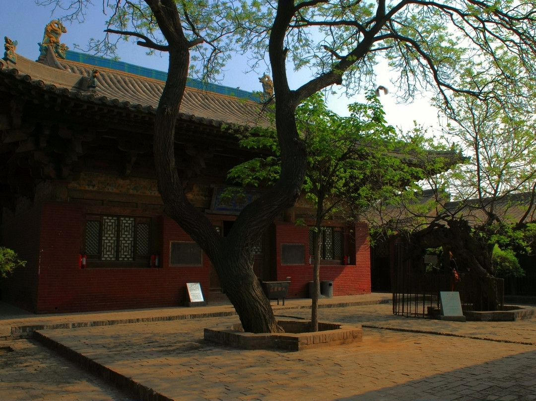 镇国寺景点图片