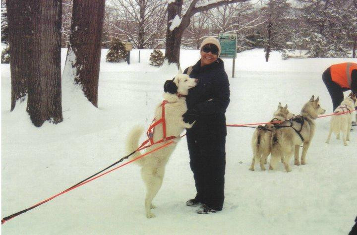 Arctic Paws Dog Sled Tours景点图片