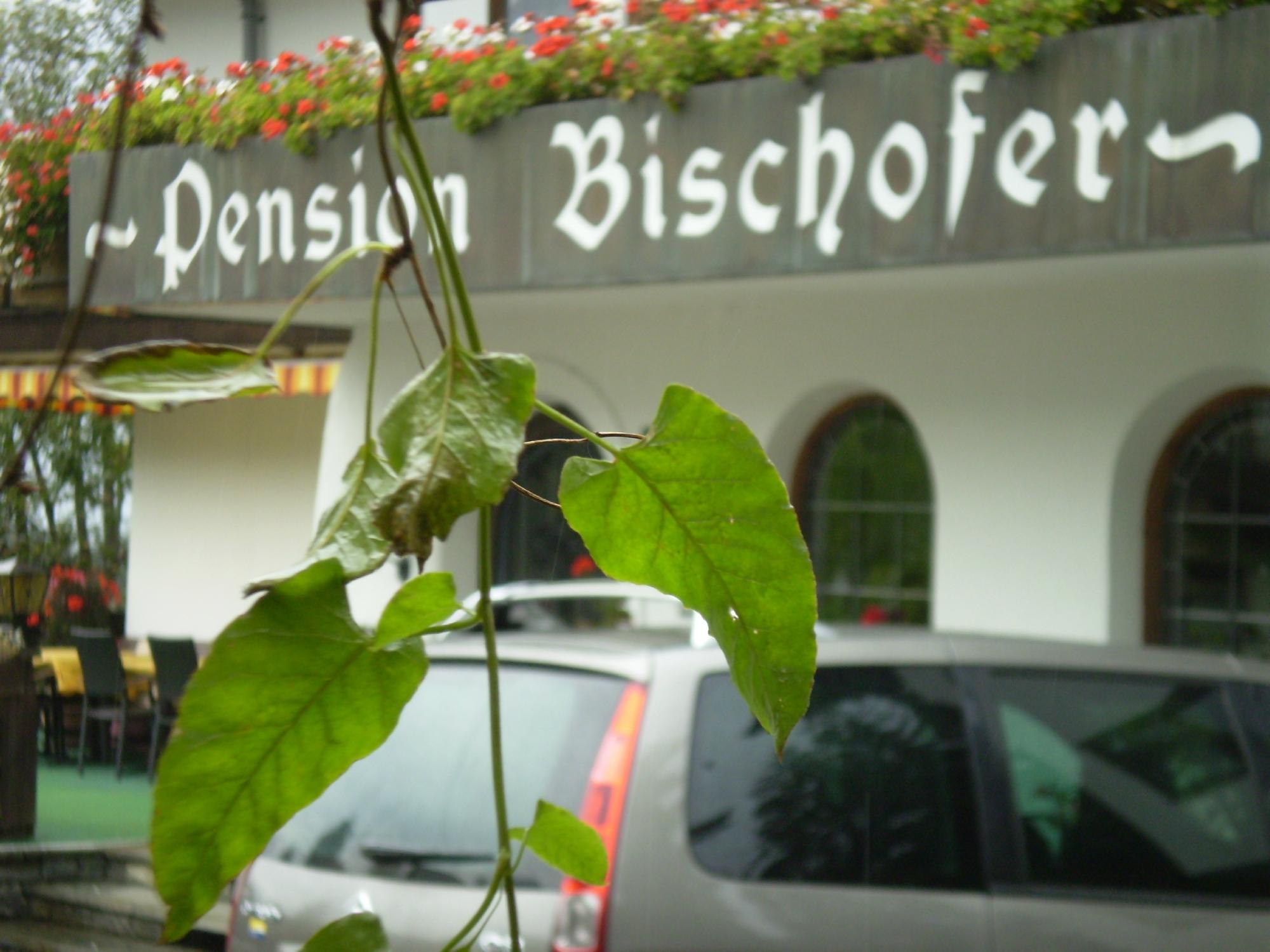 Pension Bischofer-浴室