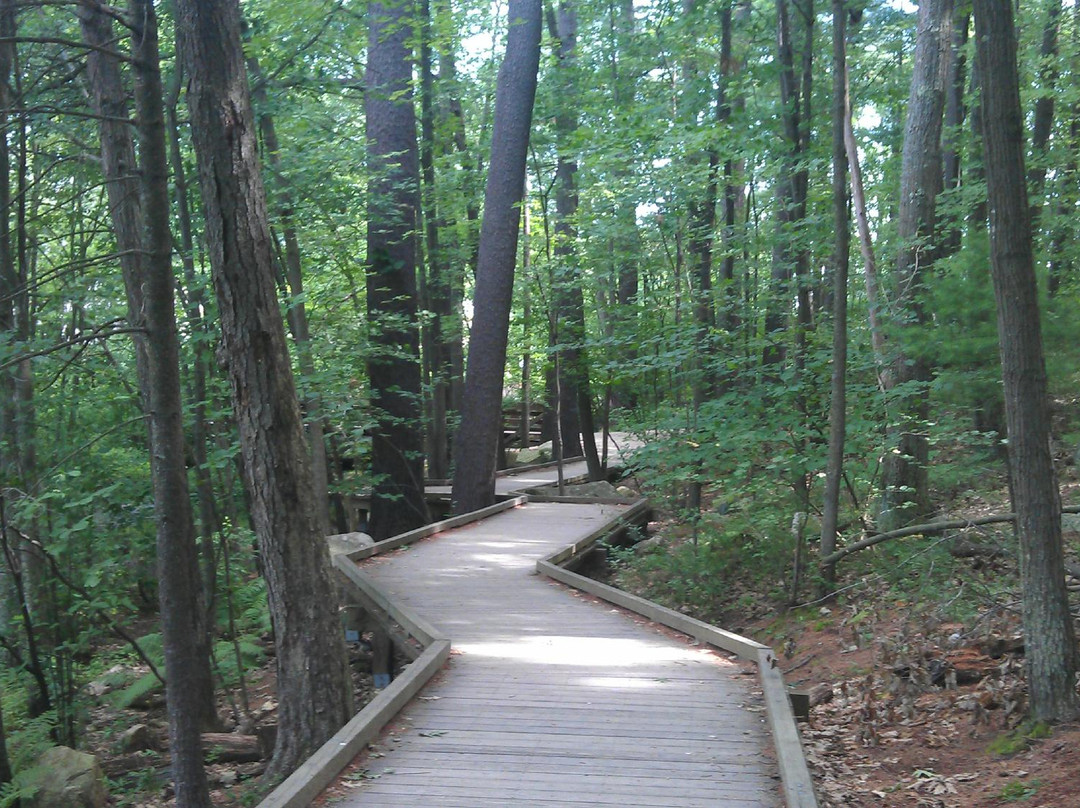 Livingston Park-曼彻斯特必去景点