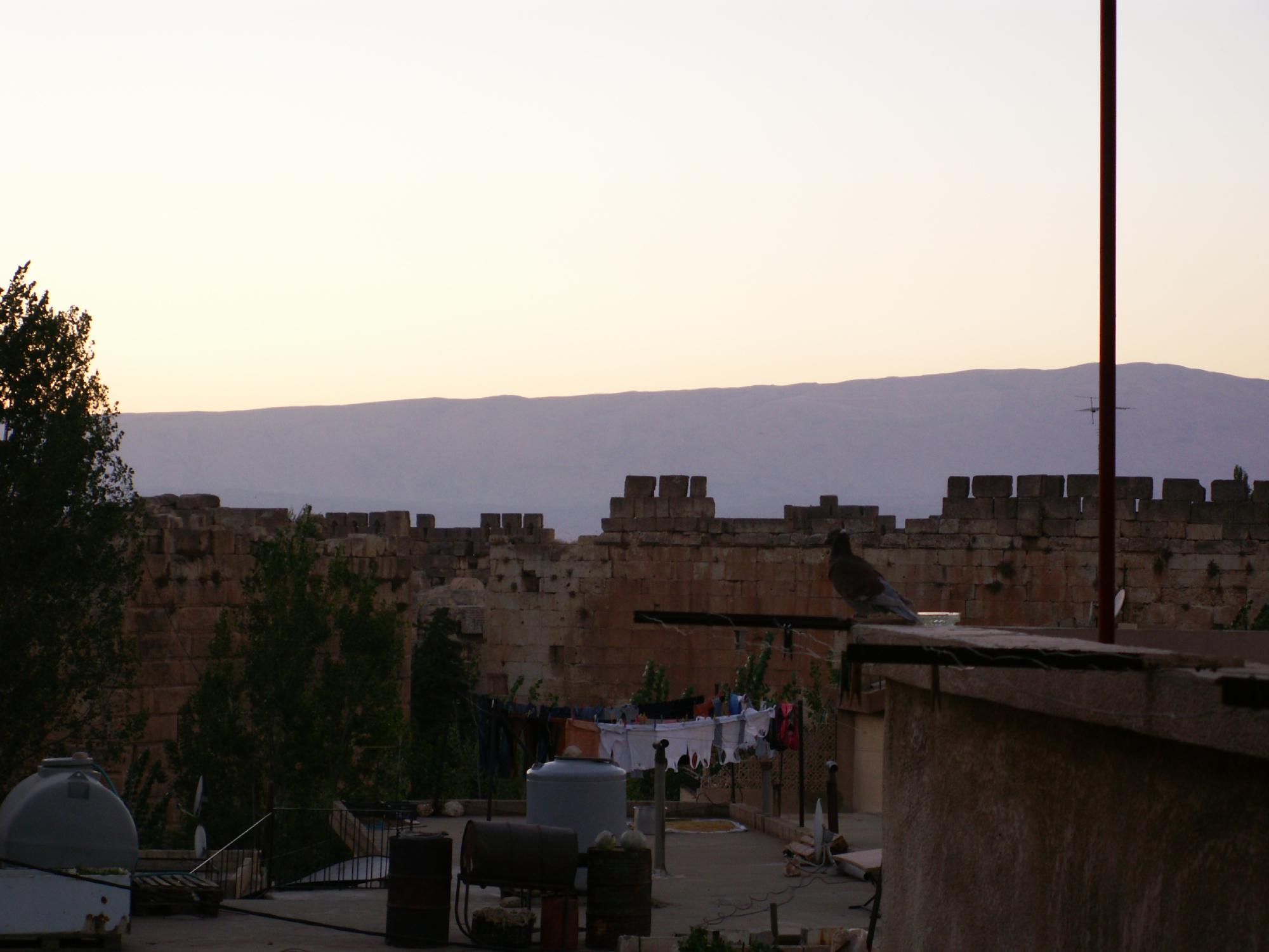 Hotel Pension Jammal-酒店景观