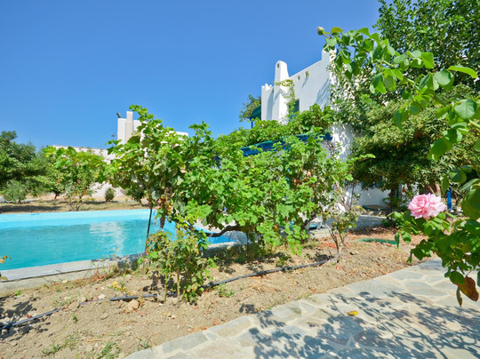 Apeiranthos酒店住宿-Villa Delona