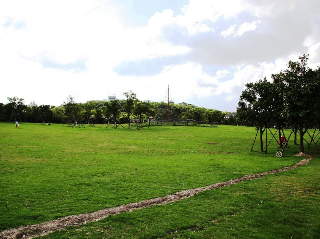 吴淞口炮台湾湿地森林公园-上海市必去景点