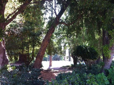 Rancho La Patera & Stow House-戈利塔必去景点