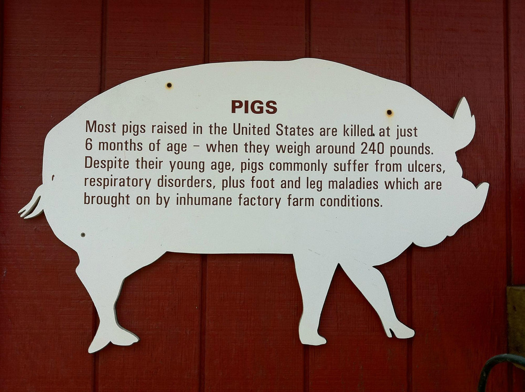 Farm Sanctuary主图