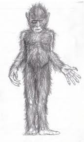 Hotel Bishnu Palace主图