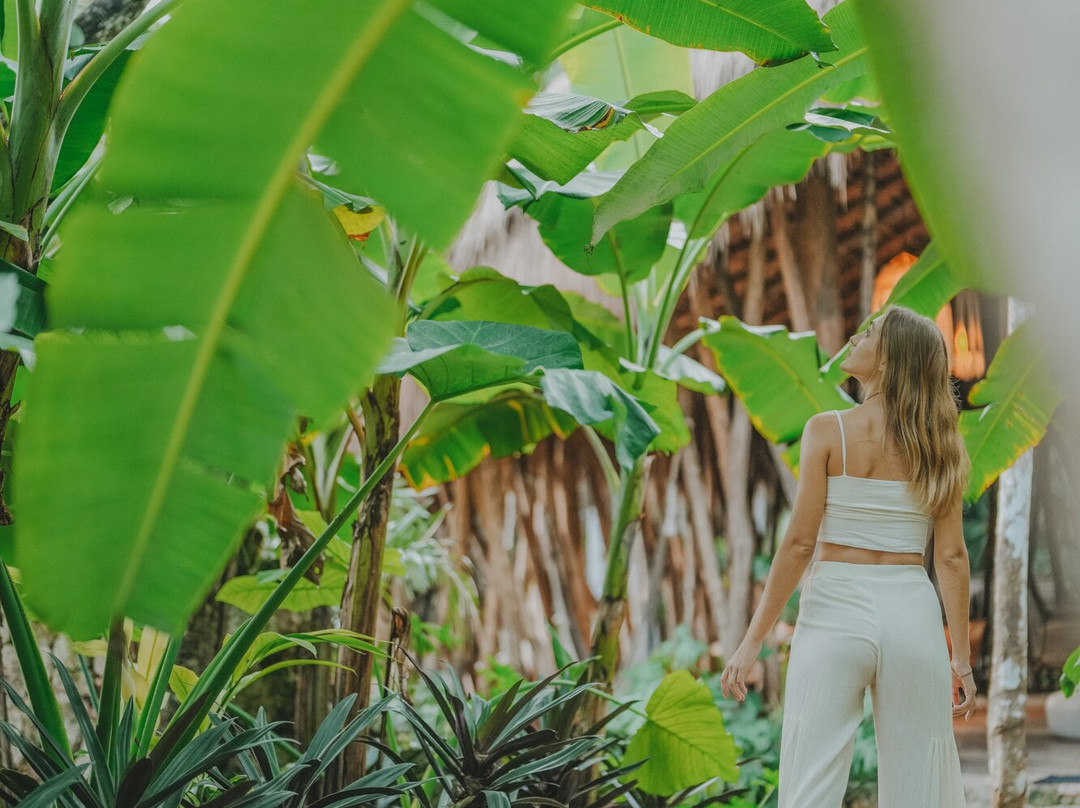 Naya Bacalar Lagoon Front Hotel & Restaurant主图