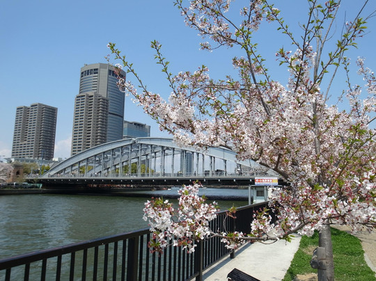 毛马樱之宫公园-大阪市必去景点