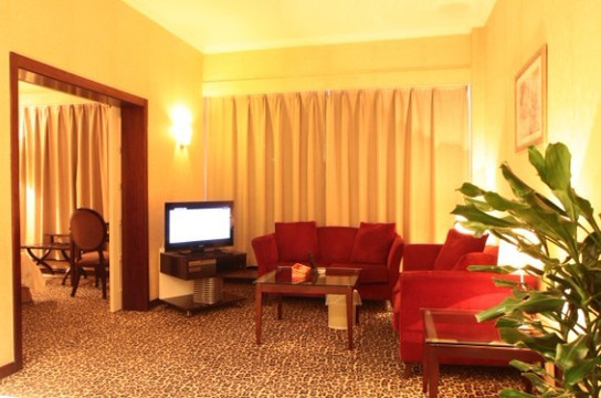 洛阳牡丹大酒店(王城公园地铁站店）主图