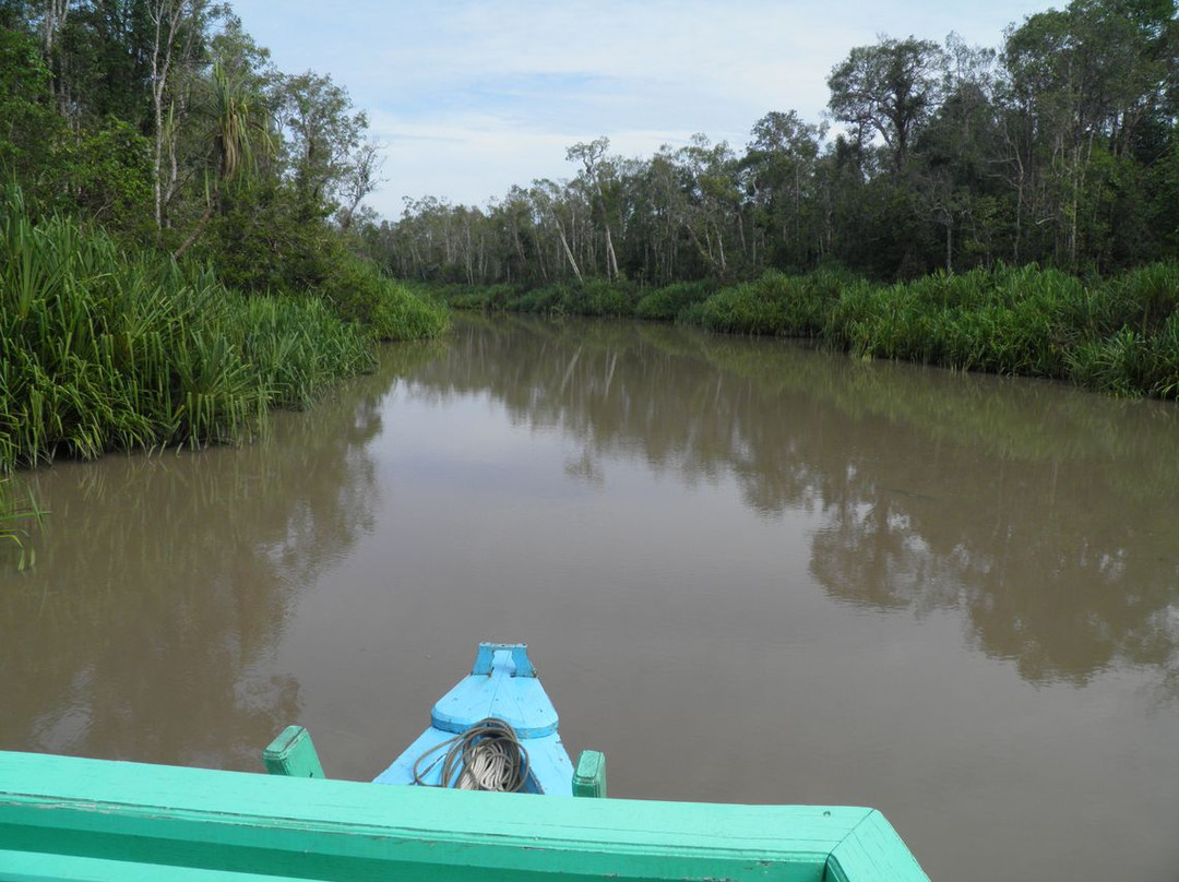 Tanjung Puting National Park-Central Kalimantan必去景点