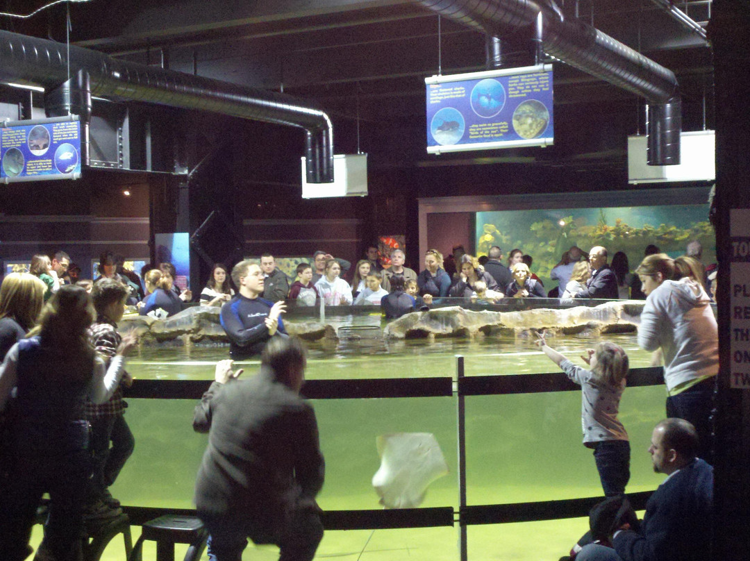 Greater Cleveland Aquarium-克利夫兰必去景点