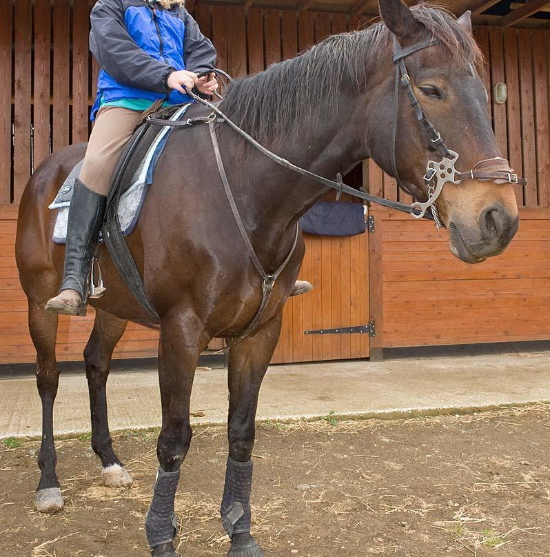 Ride in Cyprus Ltd-Melandra必去景点